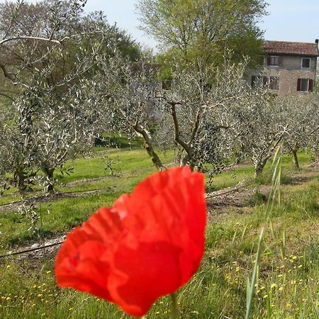 I Vigneti Bed & Breakfast Salionze Екстер'єр фото